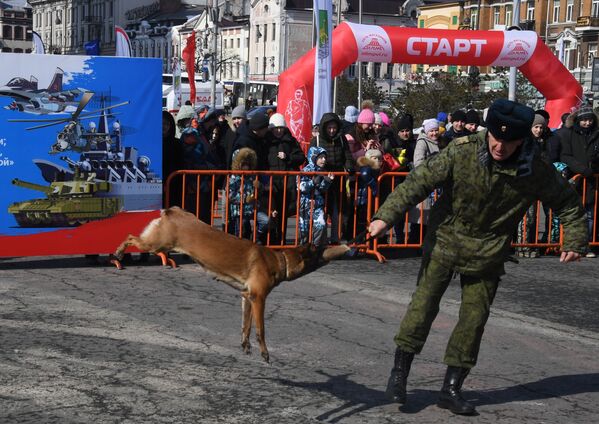 سرباز با سگ آموزش دیده در جشن مدافعان میهن در ولادی واستوک - اسپوتنیک ایران  