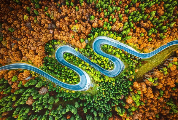 برندگان مسابقه بزرگ عکاسی سونی  - اسپوتنیک ایران  