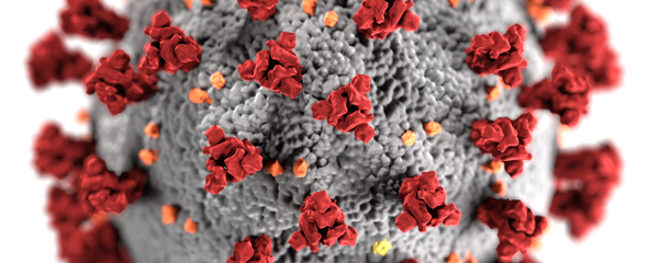 ایران احتمال بیولوژیک بودن کرونا را بررسی می کند - اسپوتنیک ایران  
