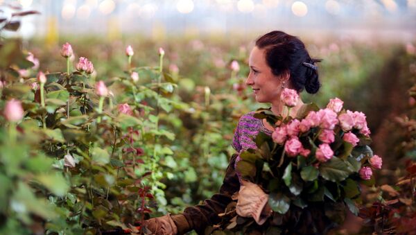 جشن 8 مارس،روز گلها در آدگیای روسیه - اسپوتنیک ایران  