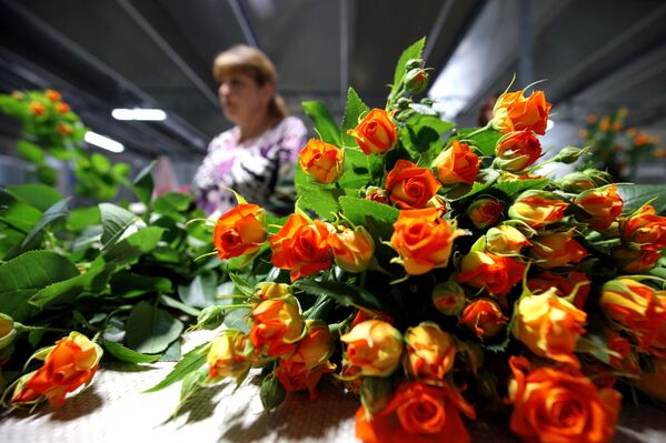 جشن 8 مارس،روز گلها در آدگیای روسیه - اسپوتنیک ایران  