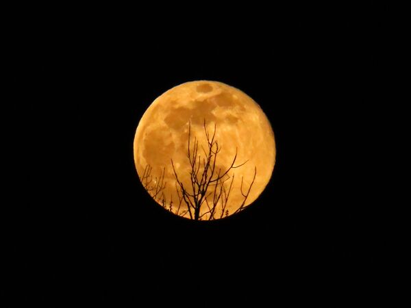 ماه کامل در آسمان واشنگتن - اسپوتنیک ایران  