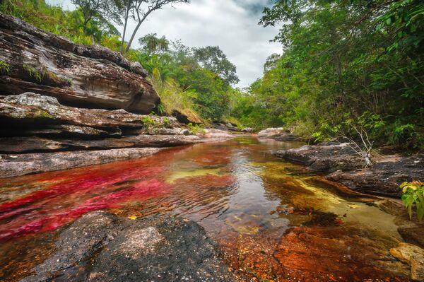 روز جهانی رودخانه‌ها
رودخانه رنگین کمان کانو کریستال در کلمبیا - اسپوتنیک ایران  