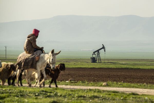 چوپان در نزدیکی چاه نفت در سوریه در مرز با ترکیه - اسپوتنیک ایران  