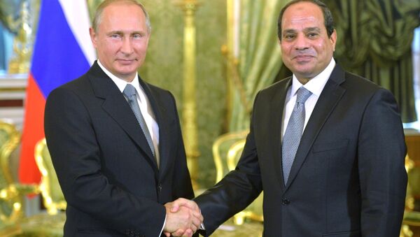 بحث در خصوص مقابله با تروریسم در دیدار روسای جمهور روسیه و مصر - اسپوتنیک ایران  