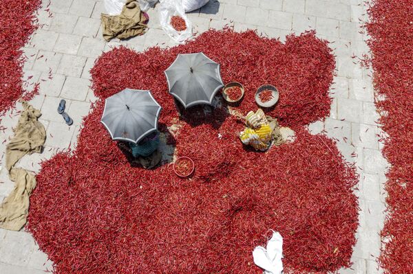 مراحل خشک کردن فلفل قرمز بنگلادش - اسپوتنیک ایران  
