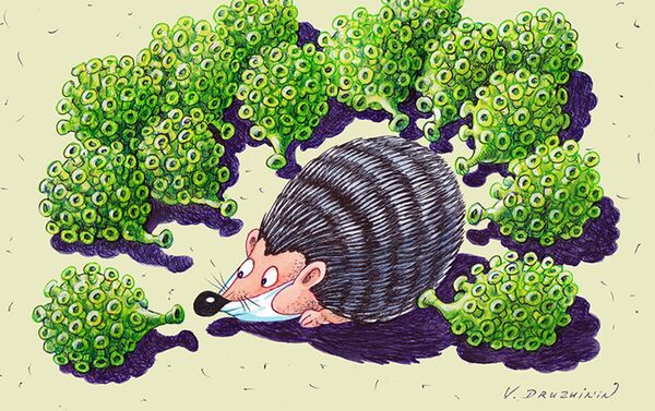اثر والنتین دروژنی در جشنواره بین المللی کارتون ما کرونا را شکست می‌دهیم - اسپوتنیک ایران  