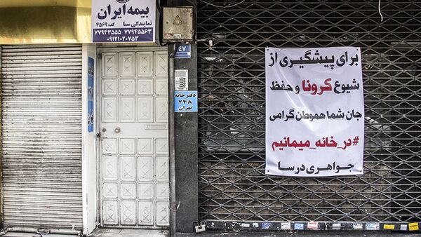 برخی از مقام های آمریکایی خواستار لغو بخشی از تحریم های ایران شدند - اسپوتنیک ایران  