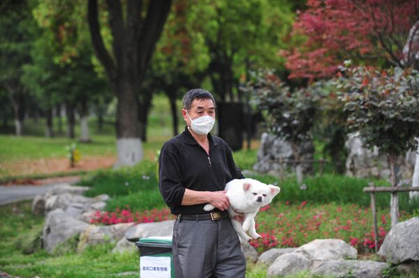 یکی از ساکنین ووهان با ماسک و سگش در پارک - اسپوتنیک ایران  
