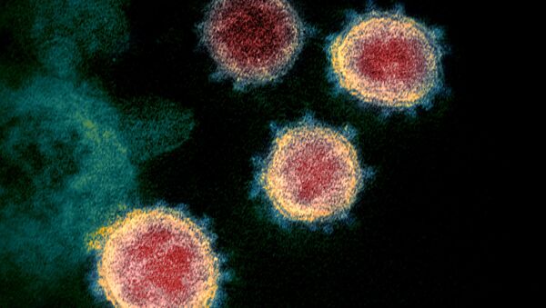 عامل افزایش خطر مرگ توسط کرونا ویروس اعلام شد - اسپوتنیک ایران  