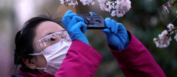 آمریکا: چین تعداد مبتلایان به کرونا را کمتر از میزان واقعی اعلام کرده است آمریکا: چین تعداد مبتلایان به کرونا را کمتر از میزان واقعی اعلام کرده است - اسپوتنیک ایران