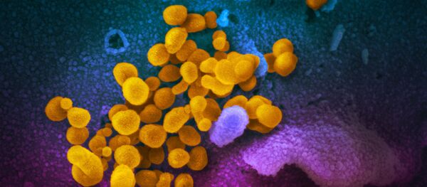 کشف تاثیر خطرناک جدید ویروس کرونا  - اسپوتنیک ایران  