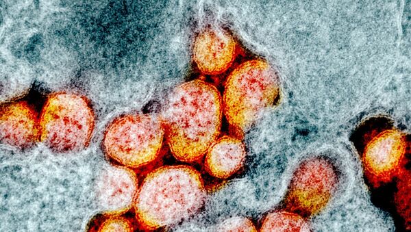 می دانید ویروس کرونا در چه دمایی می میرد؟ - اسپوتنیک ایران  