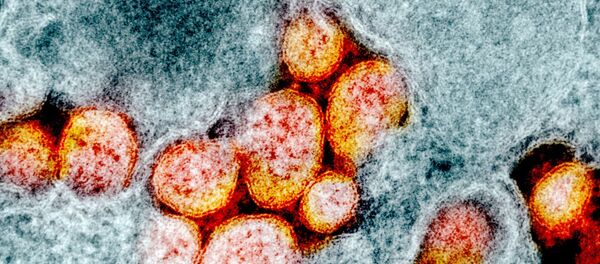 کرونا و چالش جهانی سازی کرونا و چالش جهانی سازی - اسپوتنیک ایران