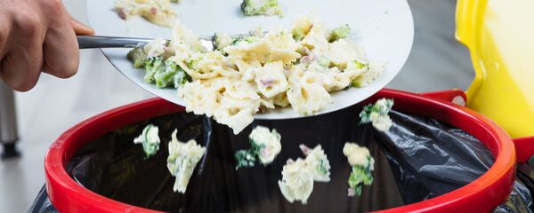 چالش انداختن زباله با لباس شیک و مجلسی+ویدیو چالش انداختن زباله با لباس شیک و مجلسی+ویدیو - اسپوتنیک ایران