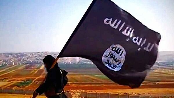 دستگیری سرکرده مهم داعش در عراق - اسپوتنیک ایران  
