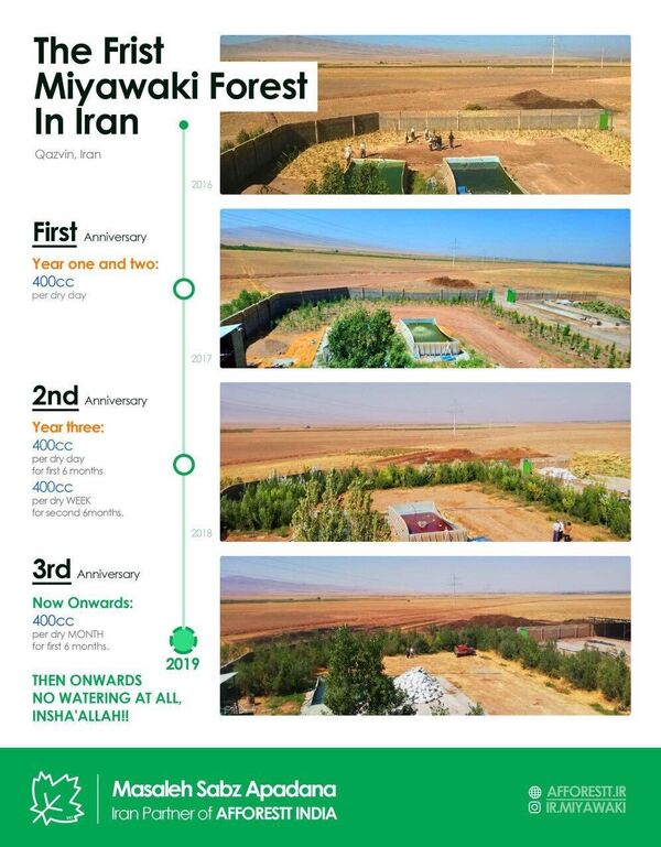 میاواکی ایران کیست؟ - اسپوتنیک ایران  