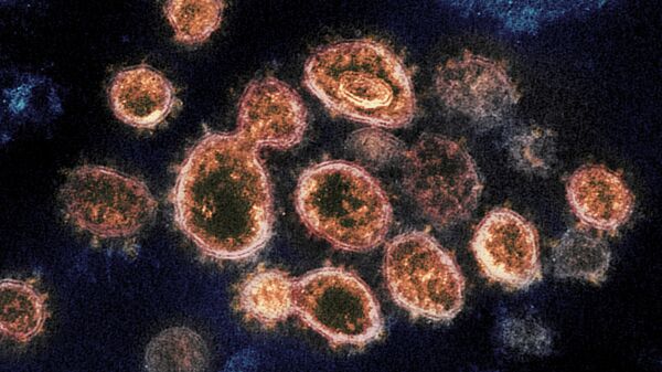 کشف زمان نخستین شیوع ویروس کرونا - اسپوتنیک ایران  