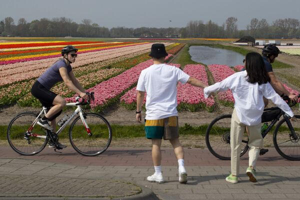 عابرین با دوچرخه در کنار باغ گل لاله در هلند - اسپوتنیک ایران  