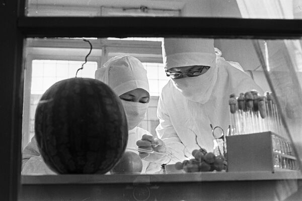 مقابله با اپیدمی وبا در آستراخان در سال ۱۹۷۱ - اسپوتنیک ایران  