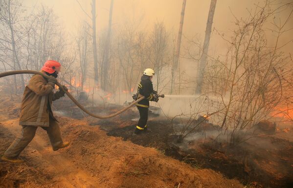 آتش‌سوزی جنگلی در نزدیکی نیروگاه اتمی چرنوبیل اوکراین - اسپوتنیک ایران  