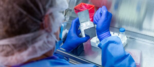 آزمایش موفقیت آمیز اولین واکسن کرونا روی میمون ها  - اسپوتنیک ایران  