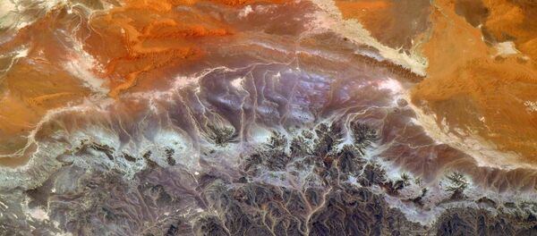 کشف راز منشأ حیات در کره زمین کشف راز منشأ حیات در کره زمین - اسپوتنیک ایران