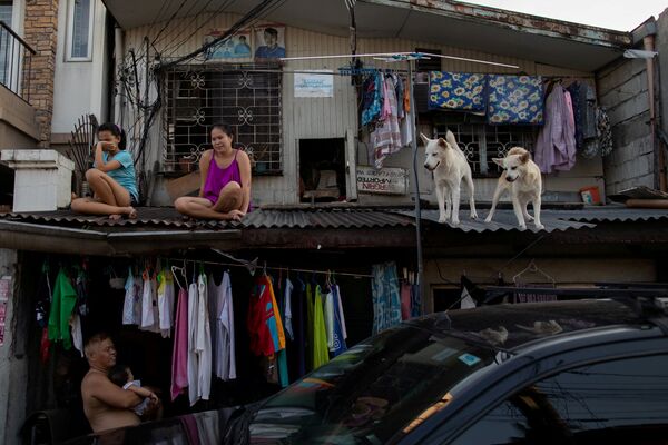 دختران و سگ ها بر بام خانه‌ای در فیلیپین - اسپوتنیک ایران  