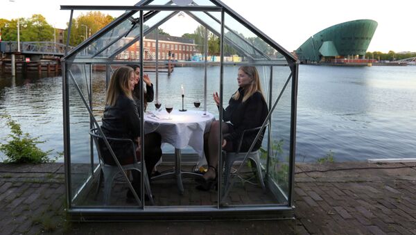 مدل ها در حال آزمایش رستوران به شکل «اتاقک قرنطینه» در آمستردام - اسپوتنیک ایران  