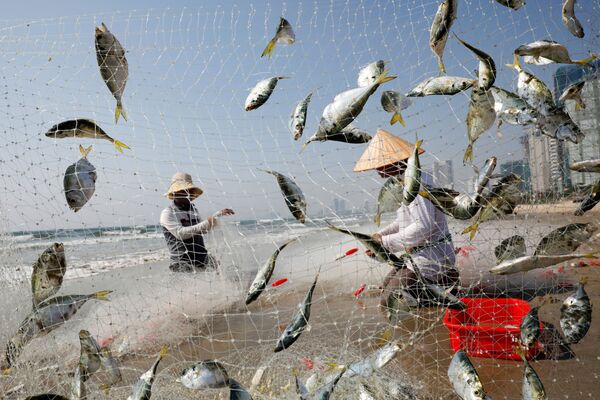 ماهیگیران ویتنام - اسپوتنیک ایران  