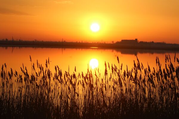 طلوع خورشید در دریاچه ای در کریمه - اسپوتنیک ایران  