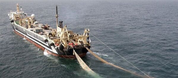 توقیف ۴ کشتی خارجی صید ترال در بندرعباس - اسپوتنیک ایران  