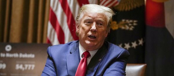 فرمان ترامپ برای تحریم تسلیحاتی علیه ایران - اسپوتنیک ایران  