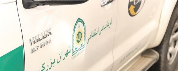 بیانیه پلیس تهران در مورد دستگیری پسر و دختر پارکورکار بیانیه پلیس تهران در مورد دستگیری پسر و دختر پارکورکار - اسپوتنیک ایران