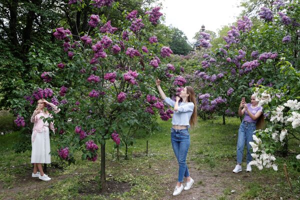 دختران با شکوفه های درخت یاس در پارکی در کی یف عکس می اندازند، اوکراین
 - اسپوتنیک ایران  