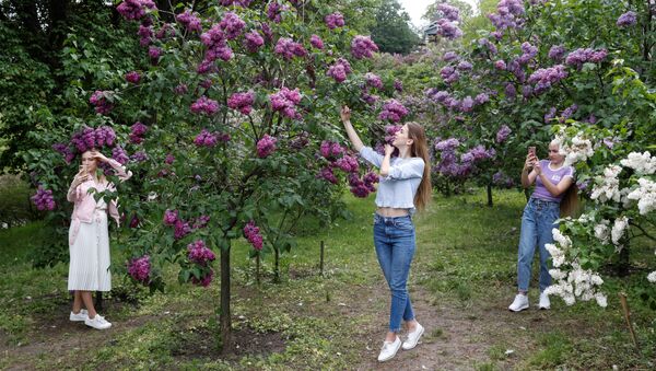 دختران با شکوفه های درخت یاس در پارکی در کی یف عکس می اندازند، اوکراین
 - اسپوتنیک ایران  