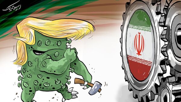 نه کرونا و نه آمریکا نمی توانند مانع پیشرفت ایران شوند - اسپوتنیک ایران  