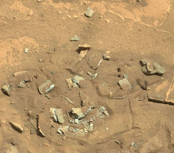 عجایب سطح مریخ
تکه استخوان - اسپوتنیک ایران  
