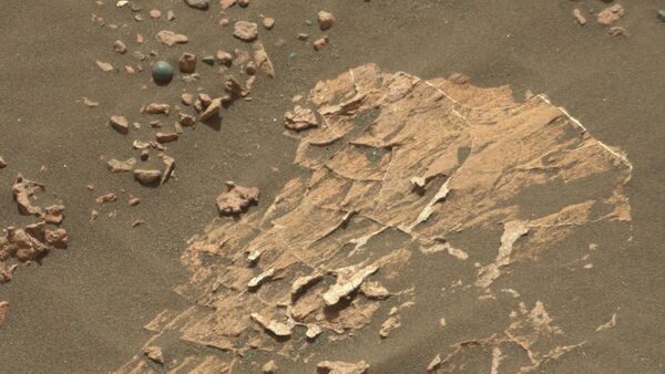 Конкремент маленького размера на поверхности Марса  - اسپوتنیک ایران  