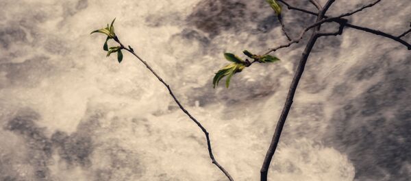 رودخانه رودخانه - اسپوتنیک ایران