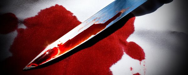 واکنش کاربران ایرانی به قتل رومینای 13 ساله توسط پدرش واکنش کاربران ایرانی به قتل رومینای 13 ساله توسط پدرش - اسپوتنیک ایران