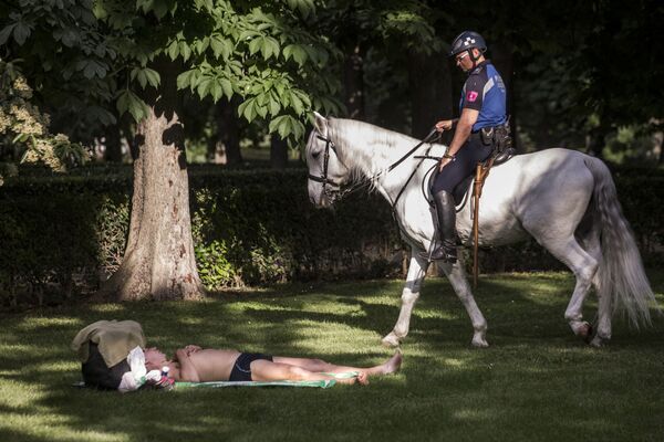 پلیس اسب سوار و مردی در حال استراحت در پارکی در مادرید - اسپوتنیک ایران  