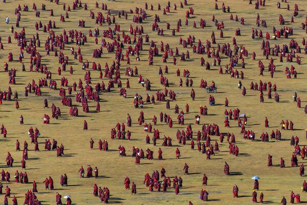 عکس Pattern of Grassland  از عکاس Shinya Itahana در مسابقه تصویر بشریت ۲۰۲۰ - اسپوتنیک ایران  