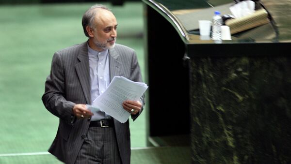 صالحی: برنامه اتمی ایران با موفقیت اجرا شده است - اسپوتنیک ایران  