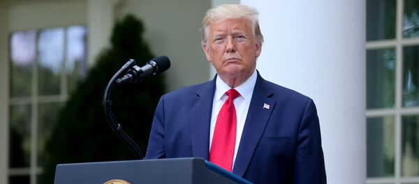 منصرف شدن ترامپ از اعزام ارتش  برای سرکوب شهرهای شورشی  - اسپوتنیک ایران  