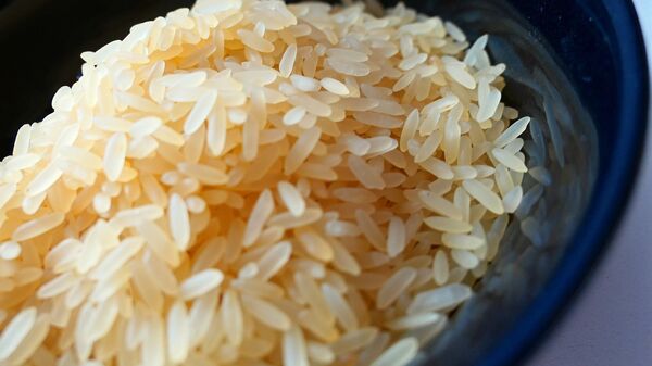 بالا رفتن بی سابقه قیمت برنج خارجی در ایران  - اسپوتنیک ایران  