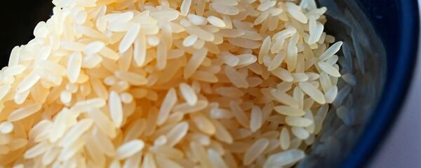 خطرات مرگبار مصرف برنج! خطرات مرگبار مصرف برنج! - اسپوتنیک ایران