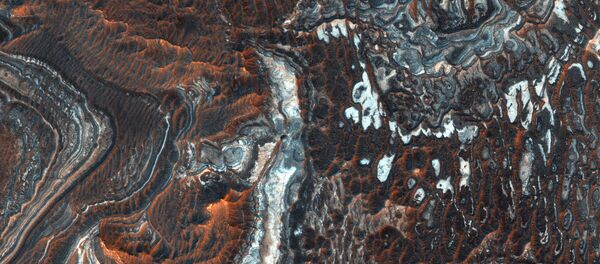 روش جدید جستجوی حیات در مریخ و دیگر سیارات منظومه شمسی روش جدید جستجوی حیات در مریخ و دیگر سیارات منظومه شمسی - اسپوتنیک ایران