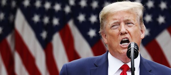 ترامپ فاصله انتخاباتی خود با بایدن را کوتاه کرد ترامپ فاصله انتخاباتی خود با بایدن را کوتاه کرد - اسپوتنیک ایران