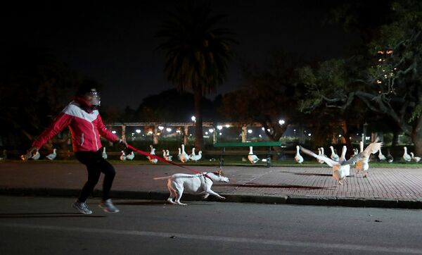 زنی با ماسک مشغول گردش با سگش در بوینس آیرس آرژانتین - اسپوتنیک ایران  